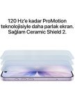 Apple iPhone 17 256 GB Siyah